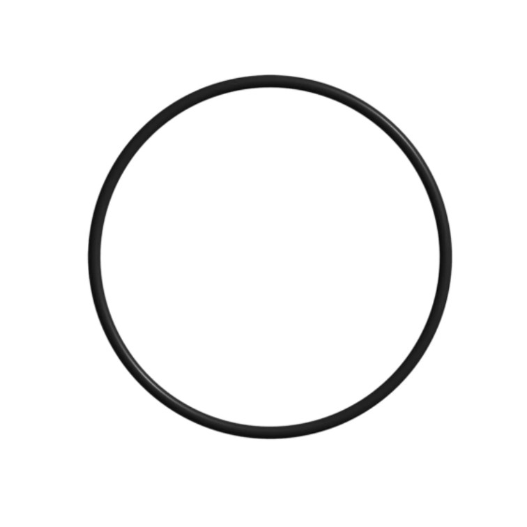 Big Blue (High Flow) O-ring for a 10-inch